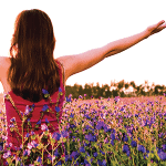 healthcare systems are behind the curve in providing phr information